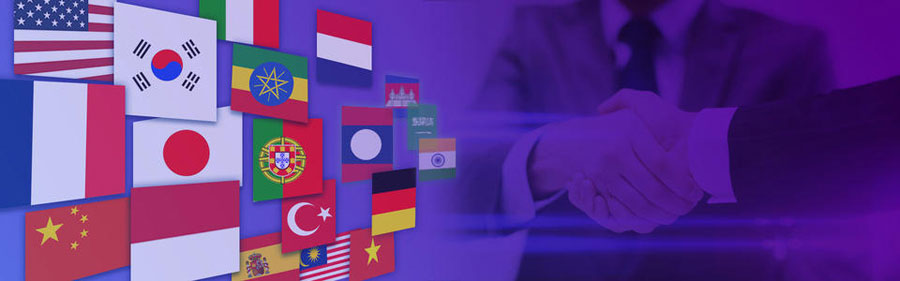 成都小语种网站建设  第2张