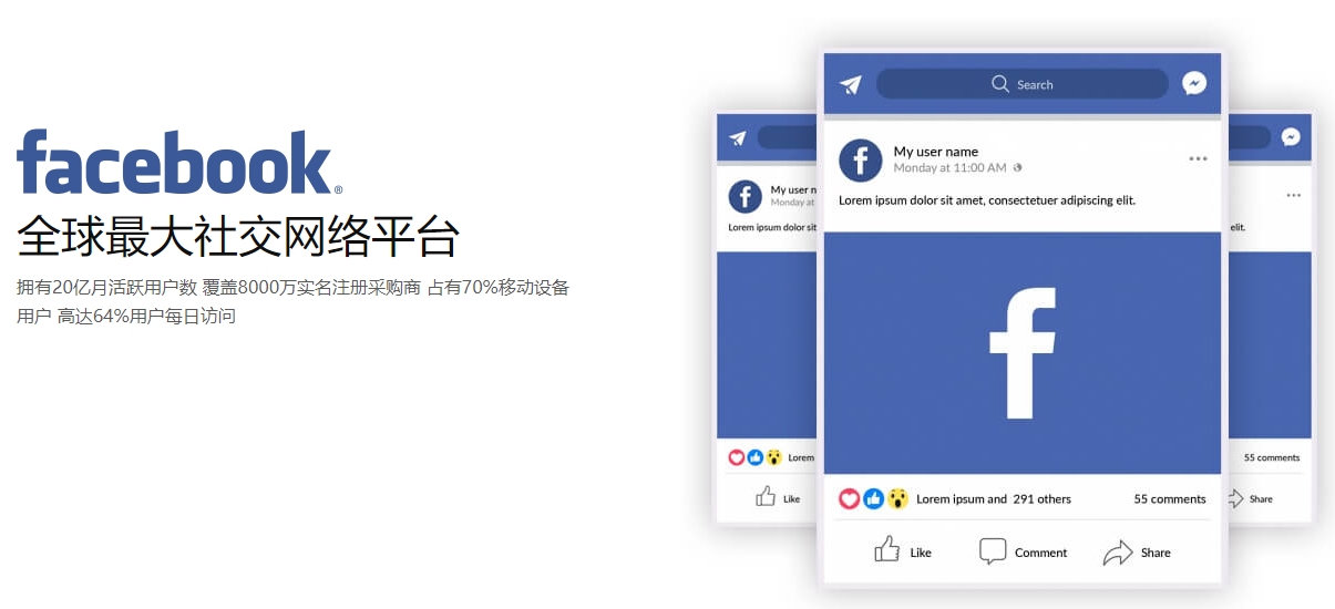 成都海外社交媒体营销  第1张